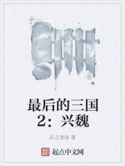 最后的三国2:兴魏
