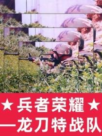 兵者荣耀:龙刀特战队