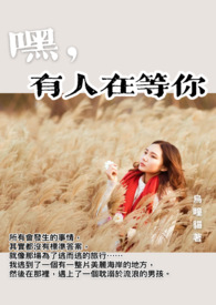 凤皇 小说