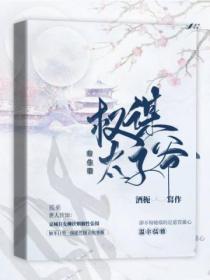 双生策:权谋太子爷
