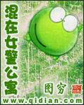 雍正试婚宫女(清穿)