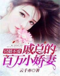 只婚不爱:戚总的百万小娇妻