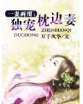 一妻两用&mdash;&mdash;独宠枕边妻