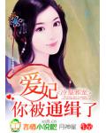 冷皇邪宠:爱妃,你被通缉了