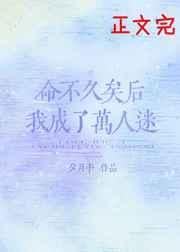 屠宰a级乳牛