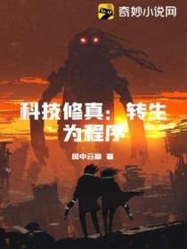 科技修真:转生为程序