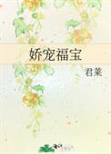 飘零的西尔维娅小说