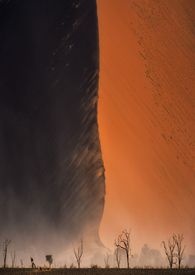 尊贵