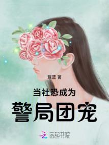 王妃真给力 小说
