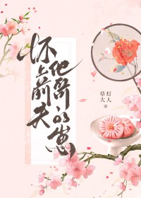 ro 苍白领主卡片