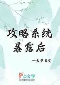 攻略成功后系统暴露了