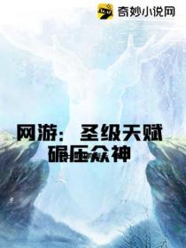 网游:圣级天赋碾压众神