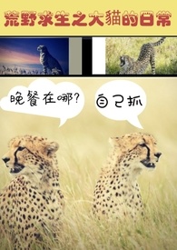荒野直播:别人求生我养猫火了