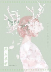 离婚向左再婚向右免费阅读