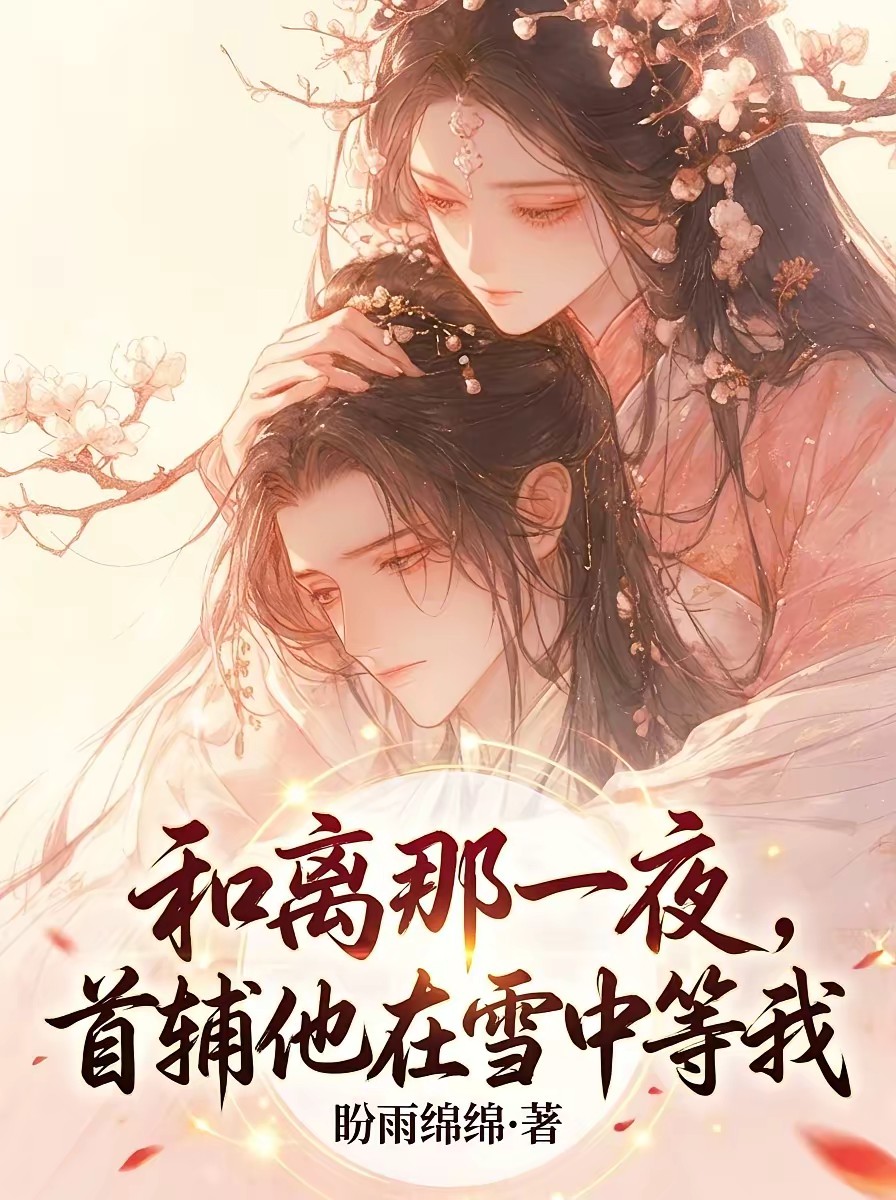 和离那一夜,首辅他在雪中等我
