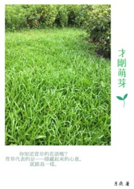 快穿:反派他又黑化了