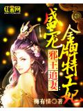 邪王追妻:盛宠金牌特工妃