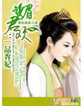 媚君欢:一品弃妃