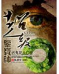 超级鉴宝师