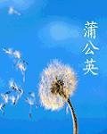 百鬼禁忌全文免费阅读