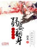 侯门心计:弱妾翻身