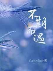 不期而遇的近义词