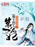 夫君轻点疼:邪王的第一宠妃