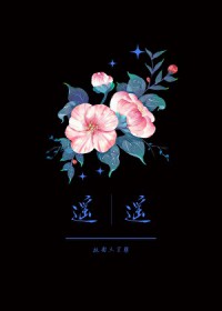 相逢不过是似曾相识什么意思