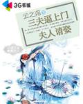 三夫逼上门:夫人请娶