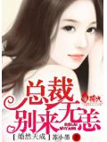 婚然天成:总裁,别来无恙
