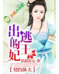 契约休夫,出逃的王妃