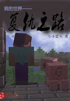 我的世界&mdash;&mdash;复仇之路