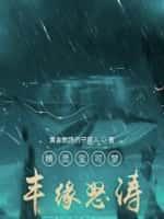 精灵宝可梦:丰缘怒涛