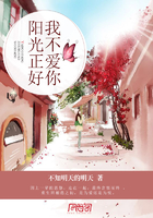 阳光正好,我不爱你