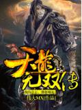 天龙传奇李无双