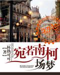 华裳天下小说