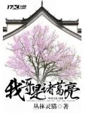 我哥是诸葛亮
