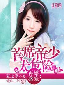 再婚盛宠:首席帝少太危险