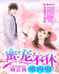 蜜宠不休:二婚总裁难再娶