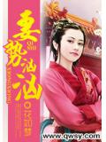 七夜宠妻 小说