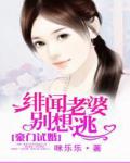 宠妻无度全文免费
