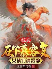综武:在下慕容复,女侠们请冷静