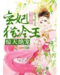 惊天绝宠,蛮妃猎冷王