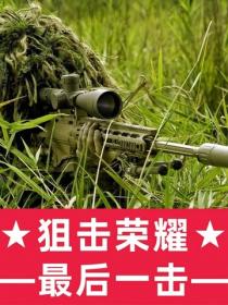 狙击荣耀:最后一击
