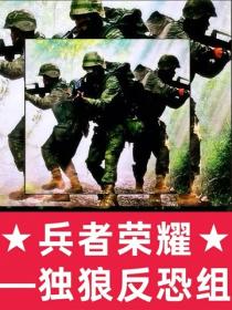 兵者荣耀:独狼反恐组