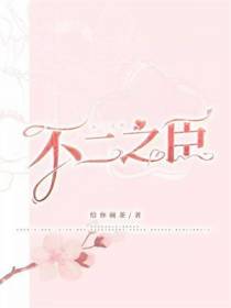 不二之臣