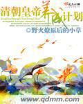 清朝皇帝养成计划
