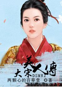 大宋美人传txt下载