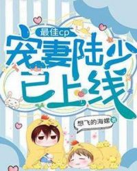 最佳cp:宠妻陆少已上线