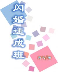闪婚速成班